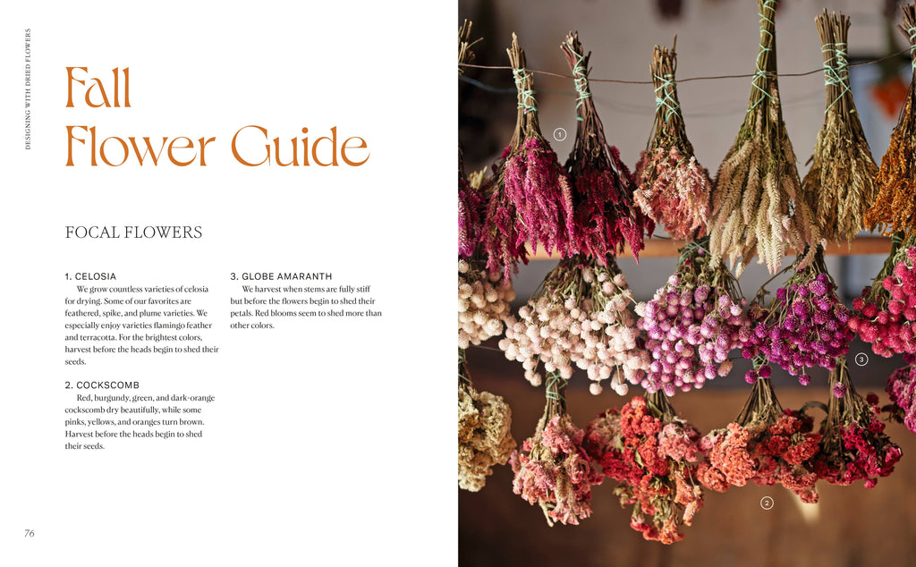 Dried flowers hanging on a line with text about a 'Fall Flower Guide'.