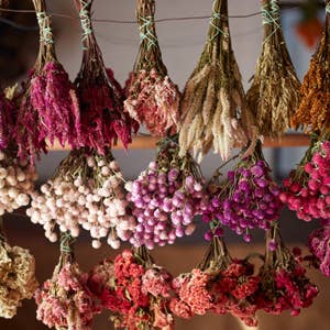 Bunches of dried flowers hanging from strings against a wooden board.