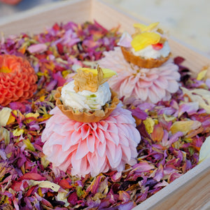 DAHLIA DAY | October 10th 10am - 2pm