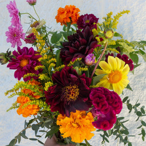 Fall Season Locally Grown Flowers CSA (2026 Pre-Sale)