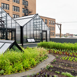 TRC Green Roof Tour Friday, August 7th 5:30-6:00pm