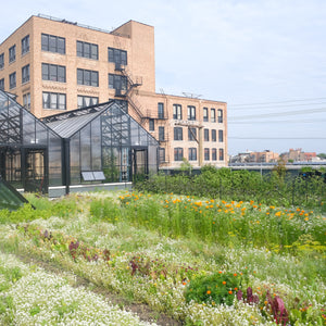 TRC Green Roof Tour Friday, July 10th 5:30-6:00pm
