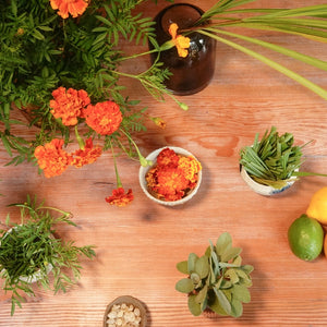 Hand-crafted Incense Workshop with Hard Broom Incense Saturday, November 15th 2:30-4:30pm