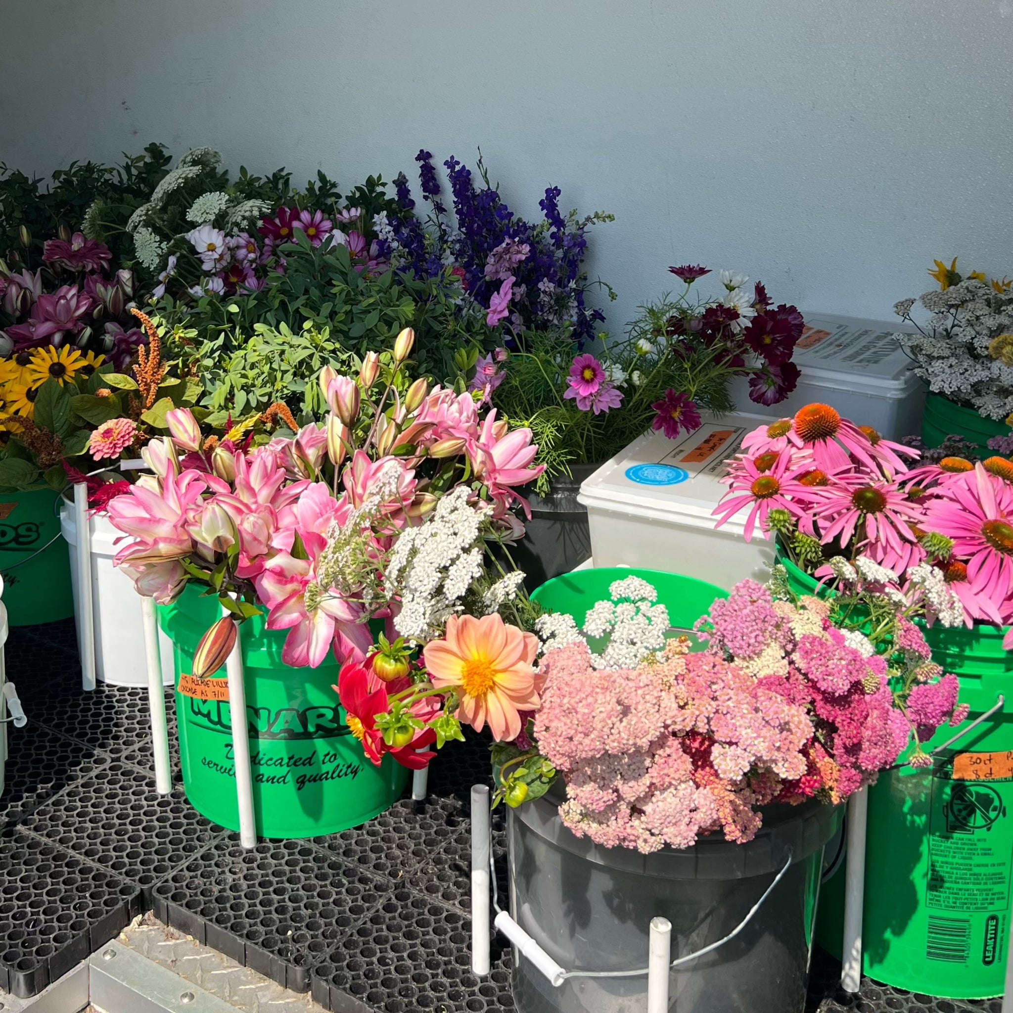Fall Season Locally Grown Flowers CSA (2026 Pre-Sale) – Third