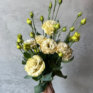 Summer Season Locally Grown Flowers CSA (2026 Pre-Sale)