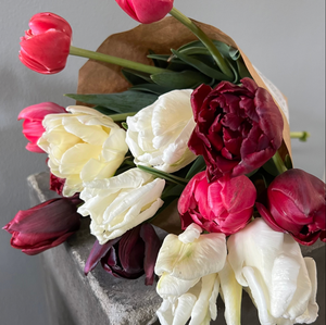 Locally Grown Tulips