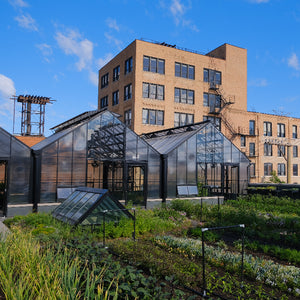 TRC Green Roof Tour Friday, July 10th 5:30-6:00pm
