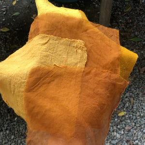 Natural Dye Intensive with Jessie Mordine Young Sunday, Nov 3 12:00-6:00pm