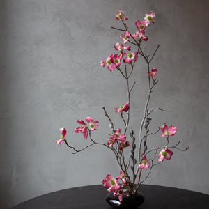 Midwestern Minimalist Arrangement Workshop with Third Season Saturday, October 25th 11am - 2pm