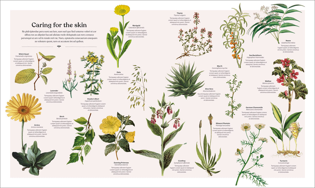 Illustration of various plants with text on a white background