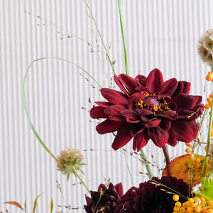 Midwestern Minimalist Arrangement Workshop with Third Season Saturday, October 25th 11am - 2pm
