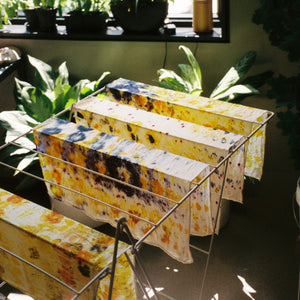 Eco-Print Workshop with Laila Textiles Sunday, July 27 1 - 4 pm