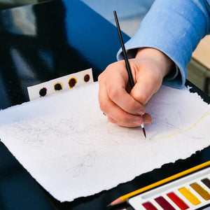 Botanical Watercolor Workshop with Jean Cate Tuesday, May 12th 6 - 8 PM