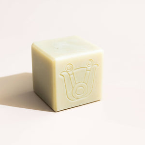 Paca Botánica Ritual | Invigorating French Green Clay + Nopal Soap