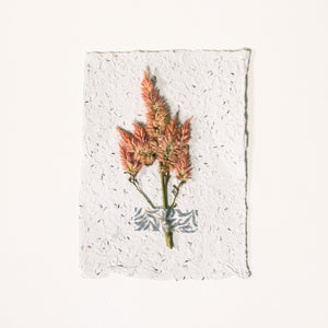 Plantable Greeting Card